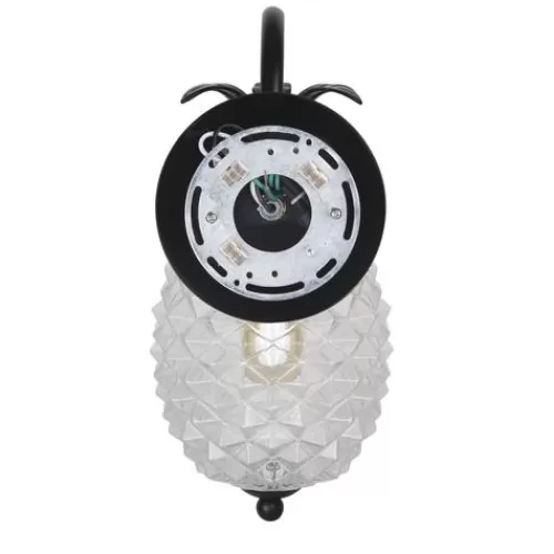 Best Deal Patriot Lighting® Pineapple Matte Black Outdoor Wall Light>* Shop